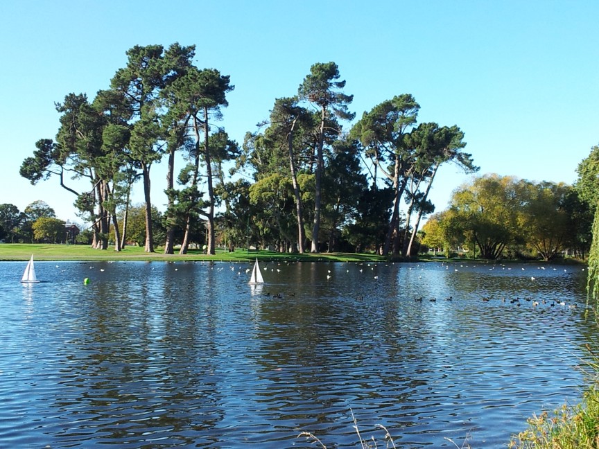 Navigating the course in Hagley Park