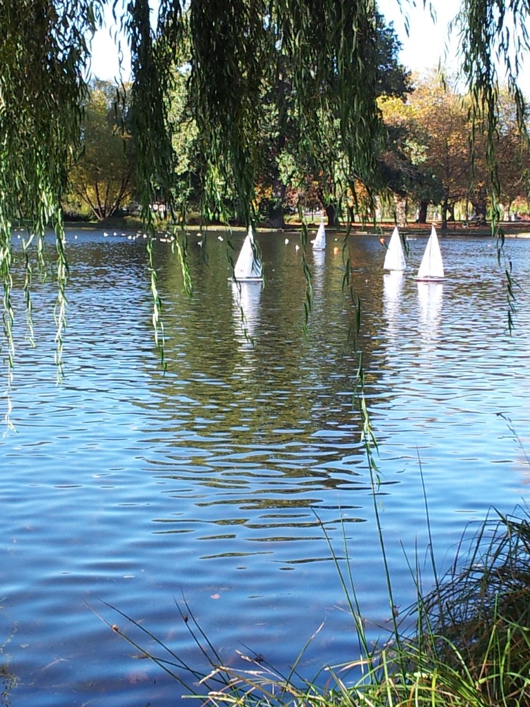From my vantage point under a weeping willow, these few yachts appear to be racing to avoid the wooden spoon